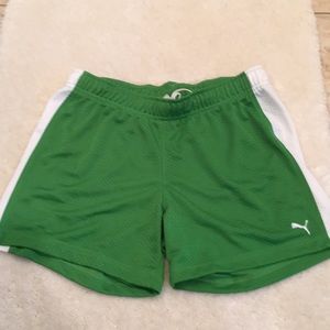 NEW 💚 Puma shorts Green/white Sz L